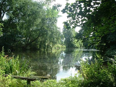 pond