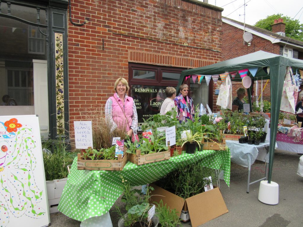 Street Fair 16 - plants