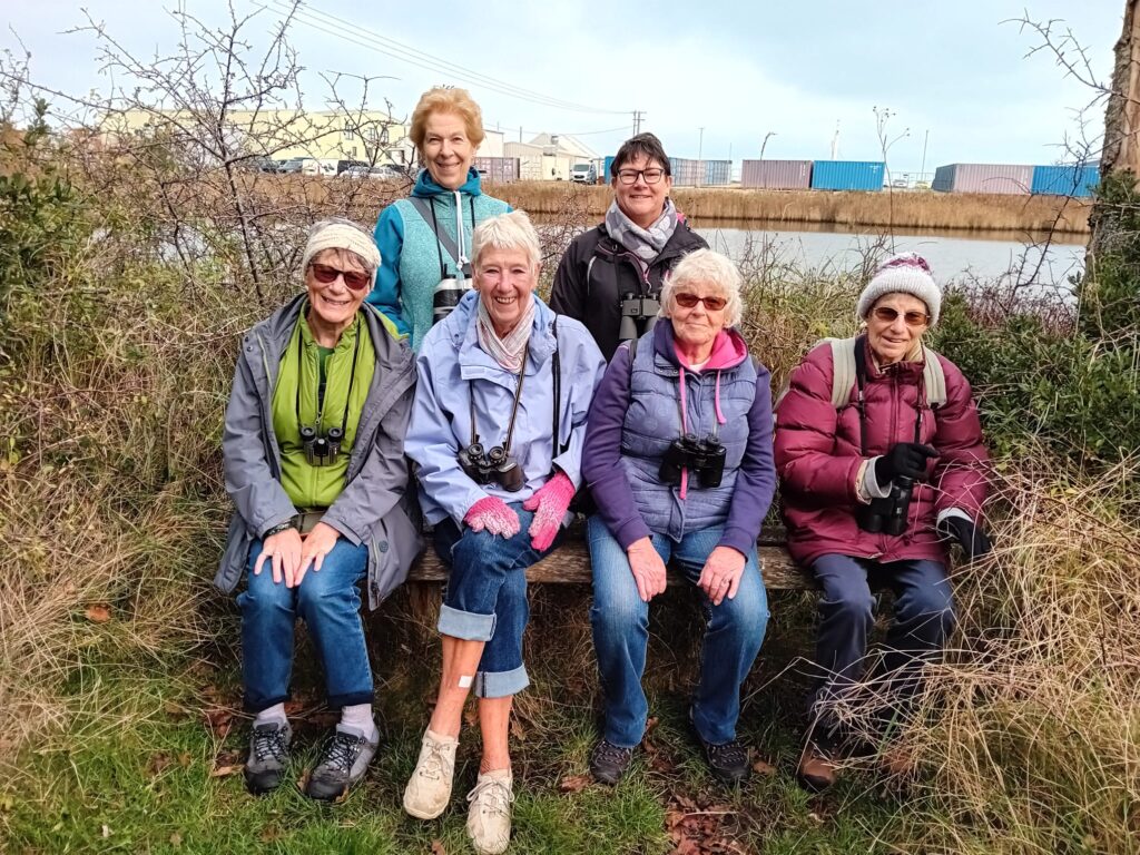 Walking Boots Nov 24