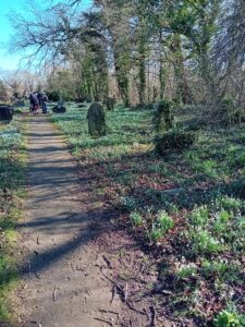 Snowdrops walk