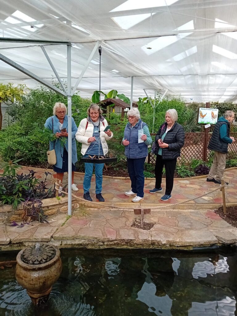 04 25 butterfly world 2