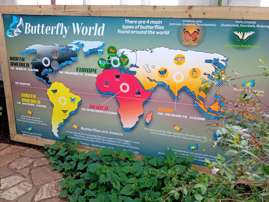04 25 butterfly world 3
