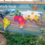 Butterfly World