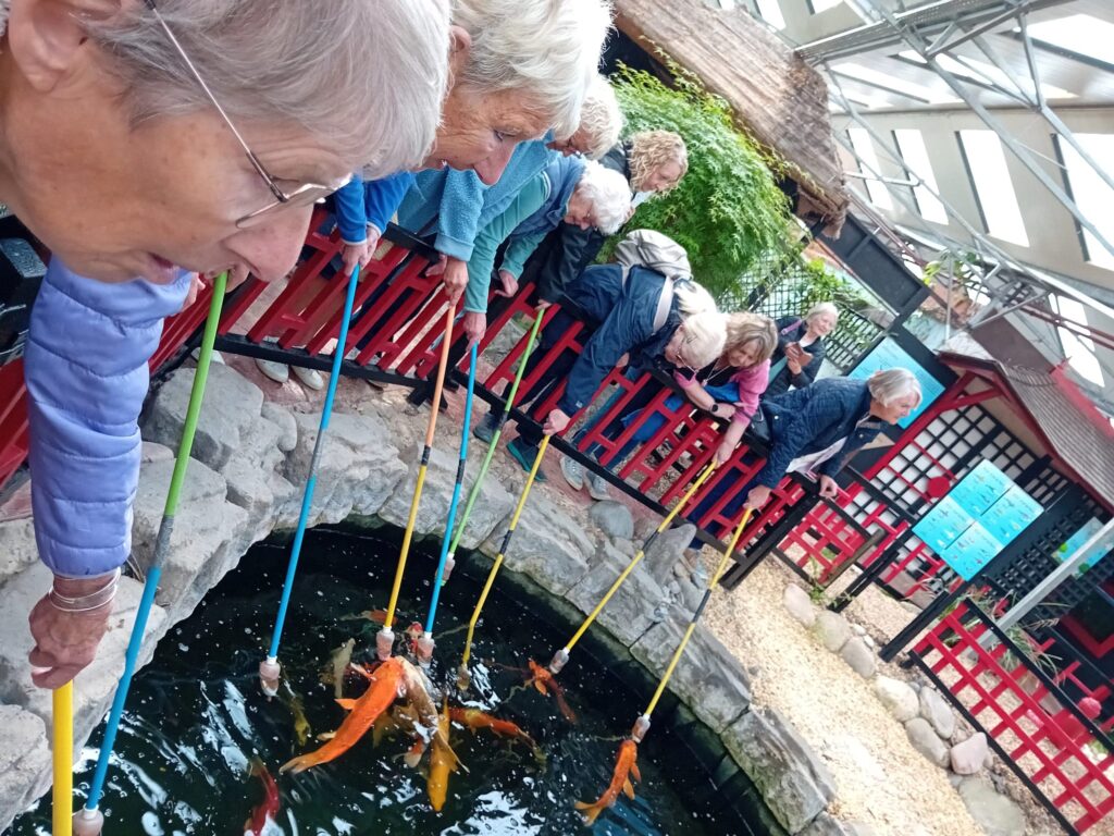 04 25 butterfly world 4