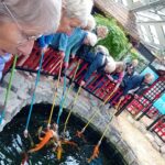 Butterfly World