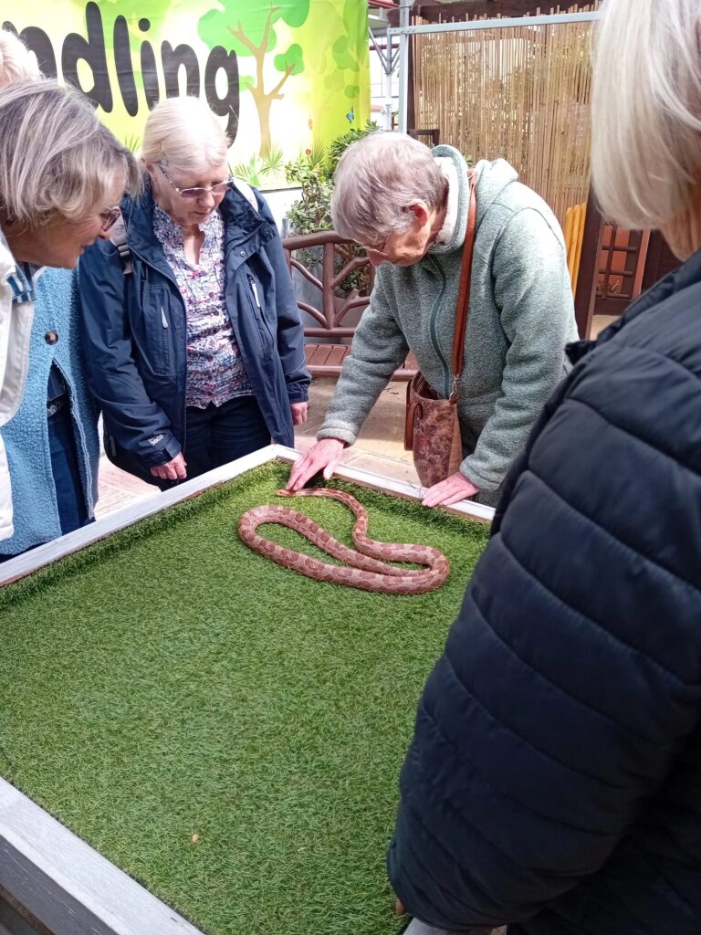 04 25 butterfly world 5