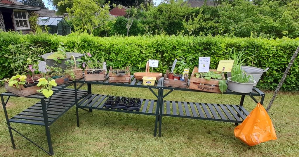 Members' July 2023 Garden Party