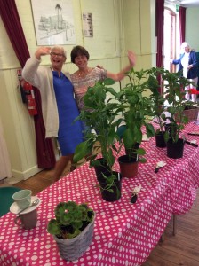 Coffee Morning Plants